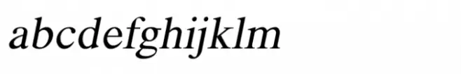 Shree Devanagari 1253 Italic