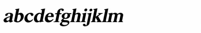 Shree Devanagari 1270 Italic