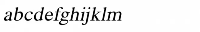 Shree Devanagari 2313 Italic