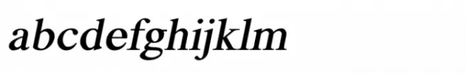 Shree Devanagari 2320 Italic