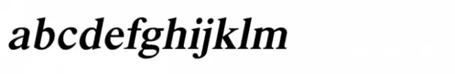 Shree Devanagari 2349 Italic