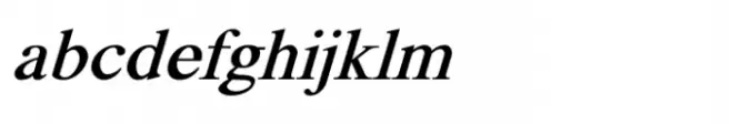 Shree Devanagari 2378 Italic