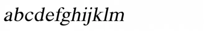 Shree Devanagari 2388 Italic