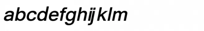 Shree Devanagari 3569 Bold Italic
