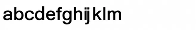 Shree Devanagari 3569 Bold