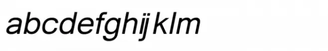 Shree Devanagari 3588 Italic