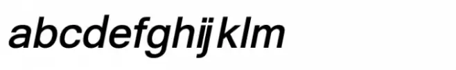 Shree Devanagari 3688 Italic