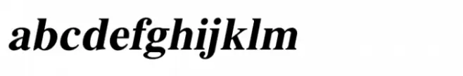 Shree Devanagari 3689 Bold Italic