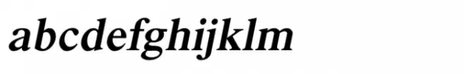 Shree Devanagari 3689 Italic