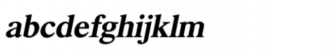 Shree Devanagari 4509 Italic
