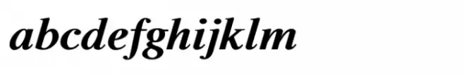 Shree Gujarati 1142 Bold Italic