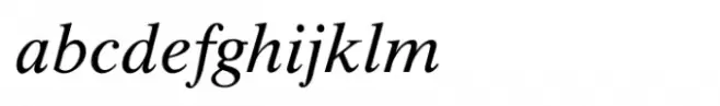Shree Gujarati 1142 Italic