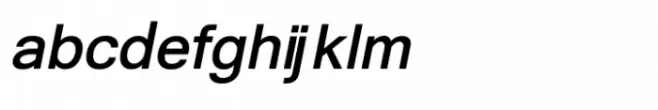 Shree Gujarati 1148 Italic
