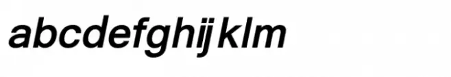 Shree Gujarati 1171 Italic
