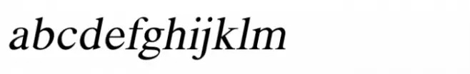 Shree Gujarati 2574 Italic