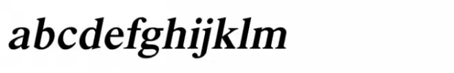 Shree Gujarati 2592 Bold Italic