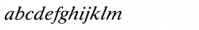Shree Gujarati 3345 Italic