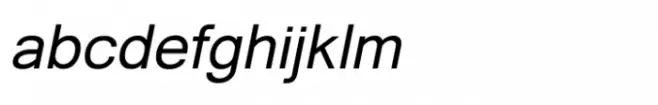 Shree Gujarati 3756 Bold Italic