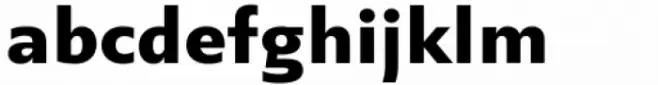 Statement Sans Bold