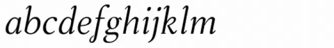 Steinburg Modern Italic