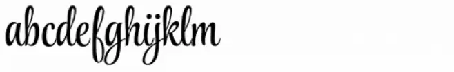 Style Script Pro