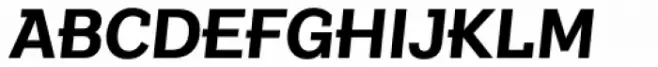Texicali S Bold Italic