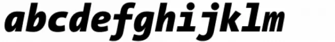 The Sans Mono SemiCondensed Black Italic
