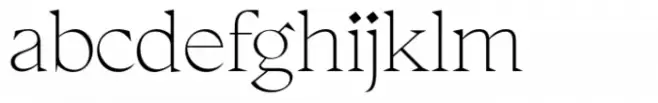 Thorfin Thin