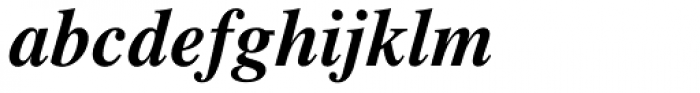 Times Bold Italic