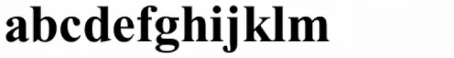 Times New Roman PS Cyrillic Pro Bold