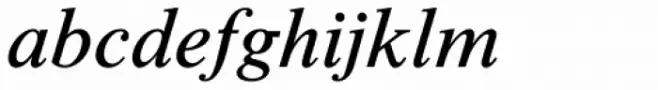Times New Roman Seven Std Italic
