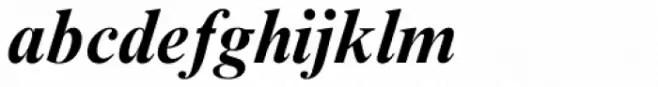 Times New Roman Std Bold Italic