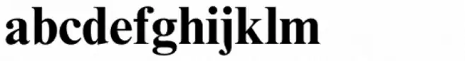 Times New Roman Std Bold