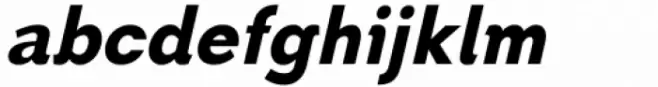 Toiban Variable Italic