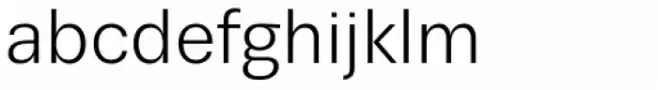 Trivia Sans Book
