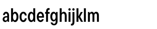 TT Commons Pro Condensed DemiBold