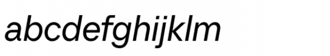 TT Neoris Italic