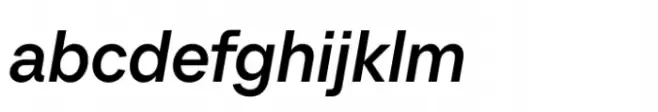 TT Neoris Medium Italic