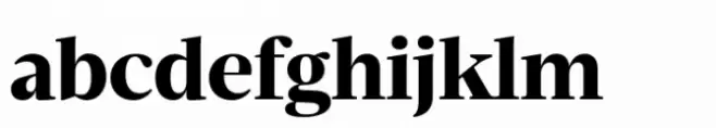 Velino Headline Black