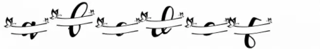 Vennesia Monogram
