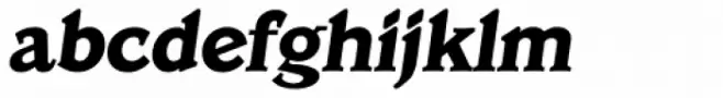 Veracruz TS Bold Italic