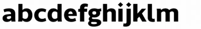 Without Sans Bold