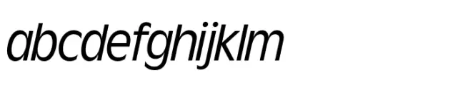 Wordmark Display Book Condensed Italic