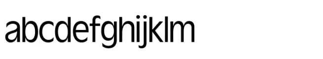 Wordmark Display Book Condensed