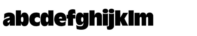 Wordmark Display Heavy Condensed